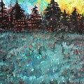 Forest Fire 
