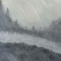 Pulchritudinous BW Rain